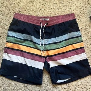 Men's Multicolor Striped Swim Shorts